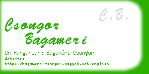 csongor bagameri business card